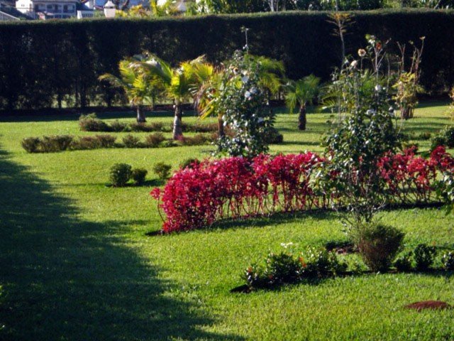 Projeto Paisagismo — Projeto 2, foto 7 — Douglas Souza Arquiteto, Porto Feliz/SP
